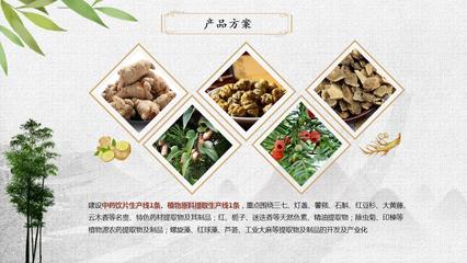 中国(云南)自由贸易试验区德宏片区中药饮片及植物原料提取项目